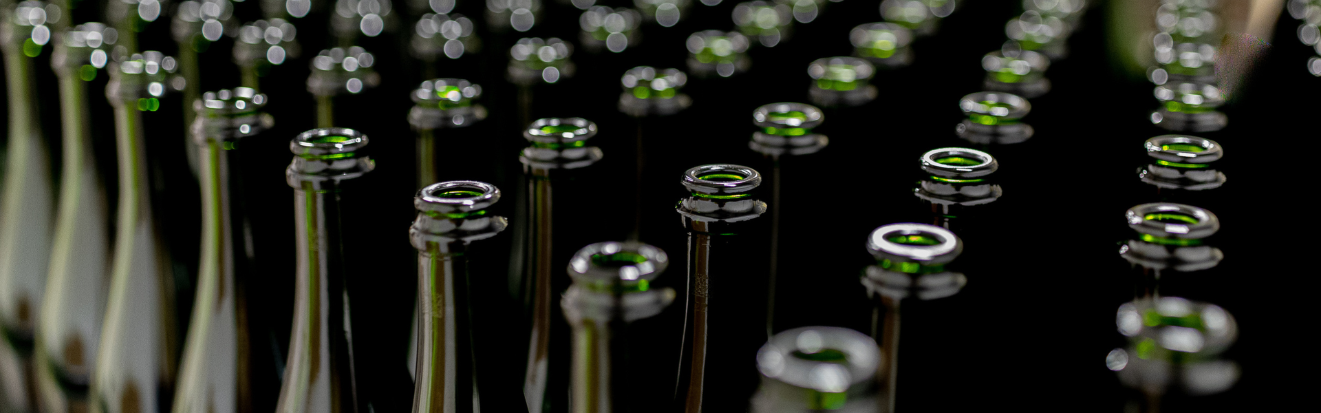 La production : bouteilles de champagne vides