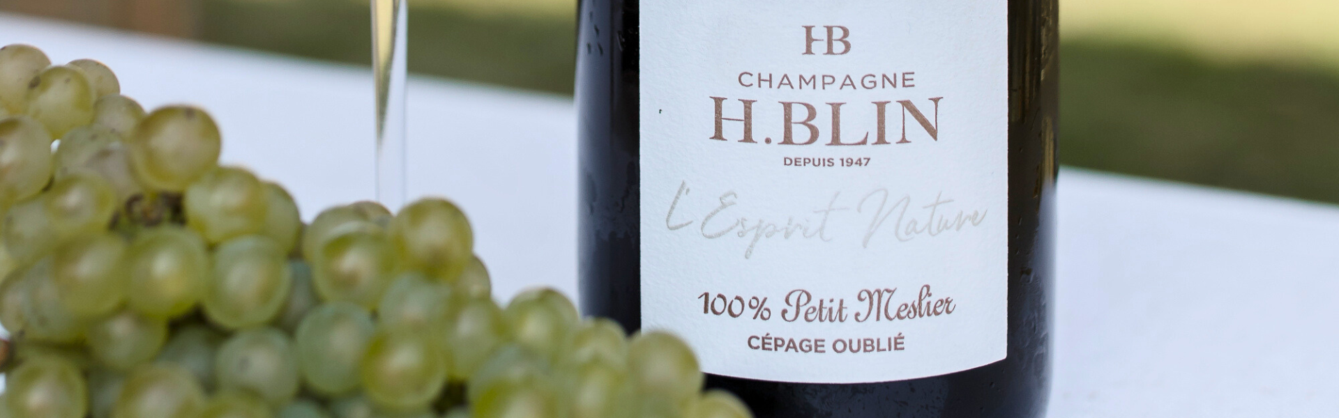 Nouvelle cuvée 100% Petit Meslier